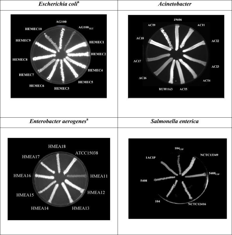 Fig. (2)