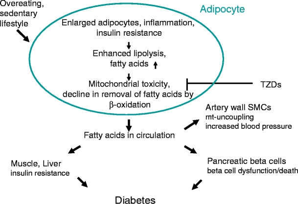 Fig. 2