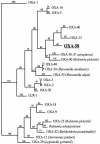FIG. 3.