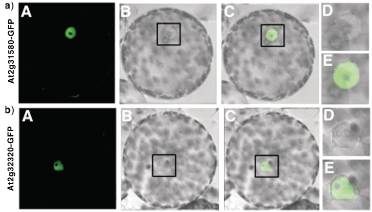 Figure 4.