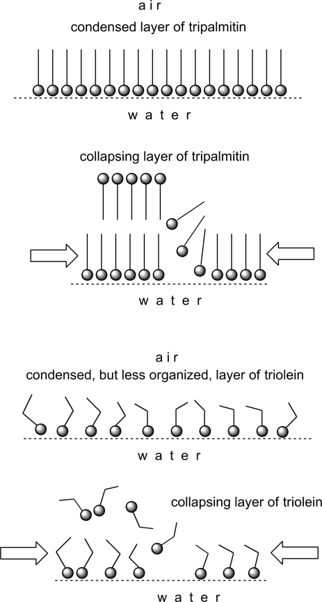 Scheme 2.