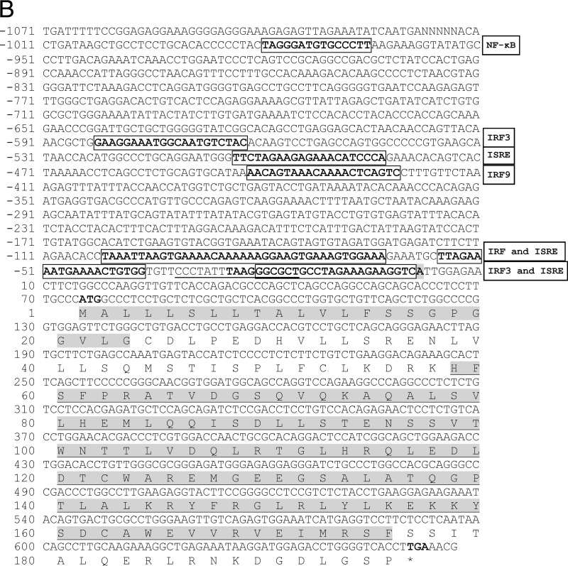 FIG 1