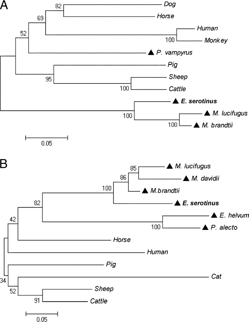 FIG 2