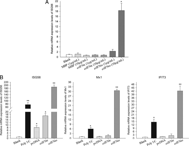 FIG 3