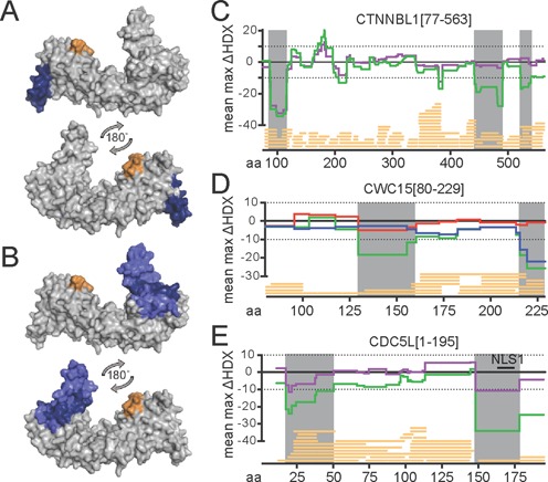 Figure 4.