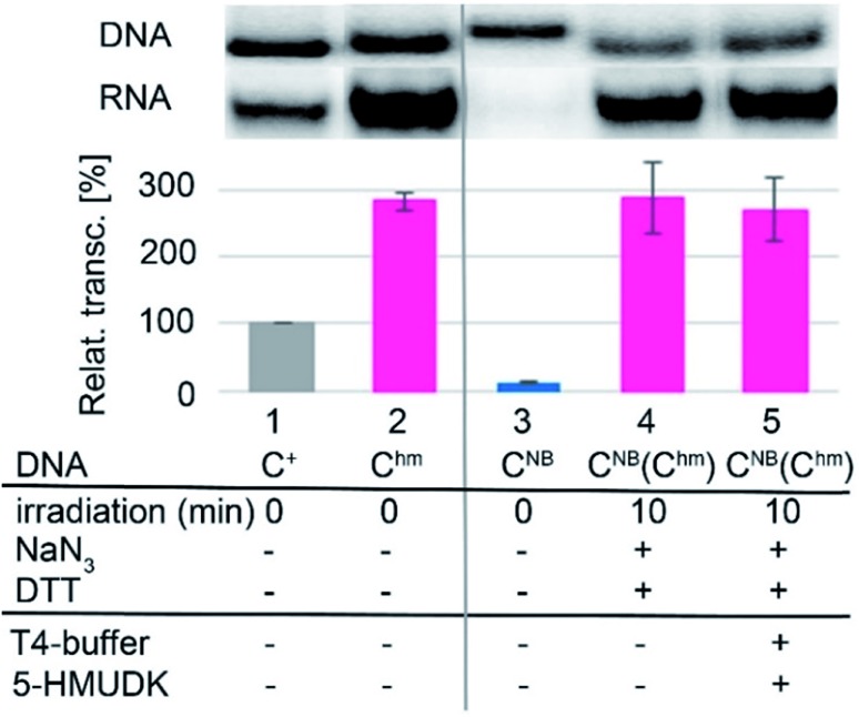 Fig. 3