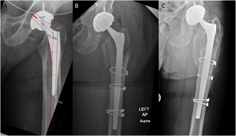 Fig. 6