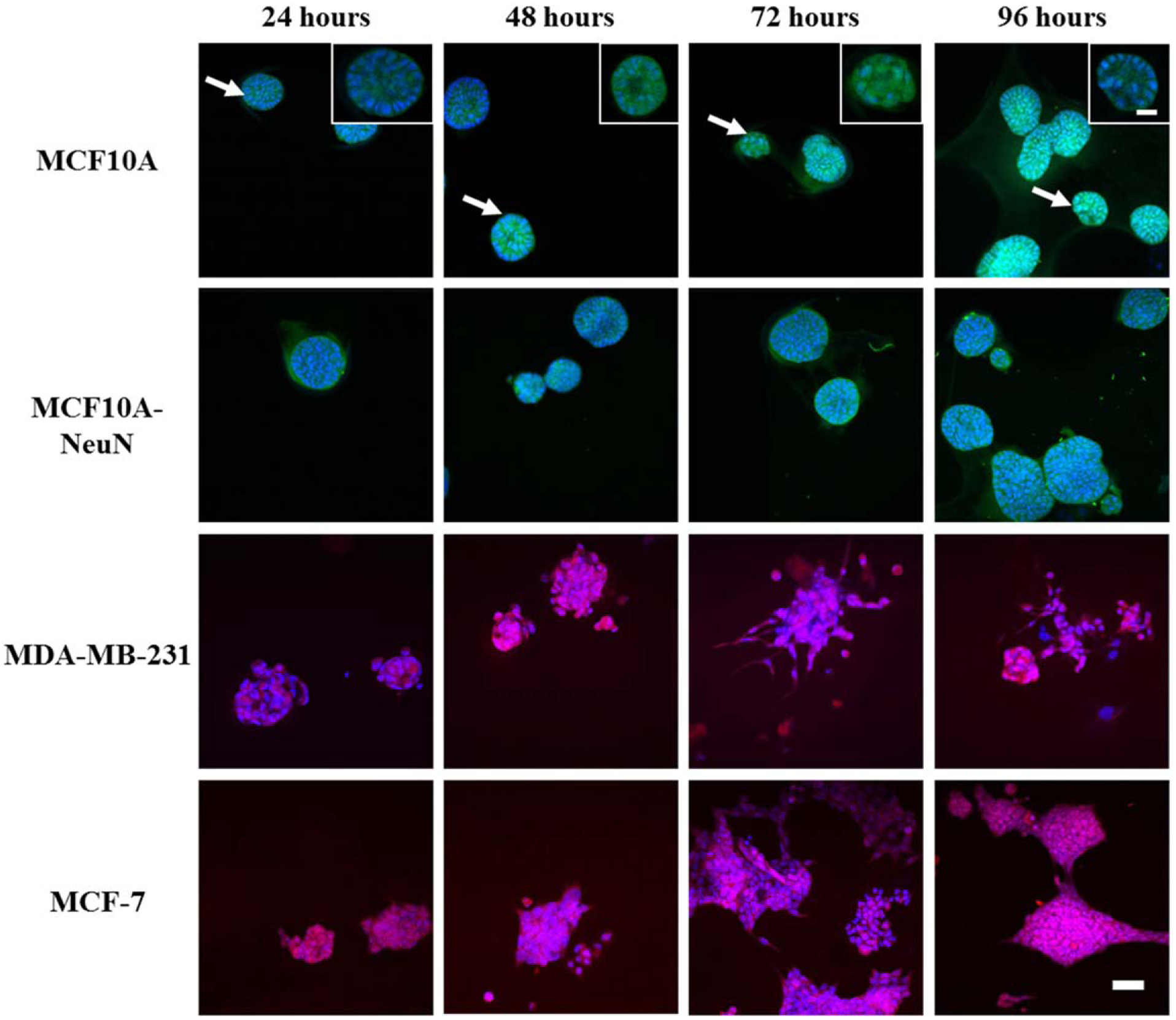 Figure 3.