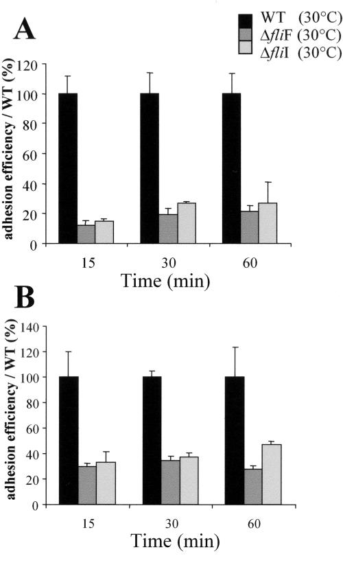 FIG. 6.