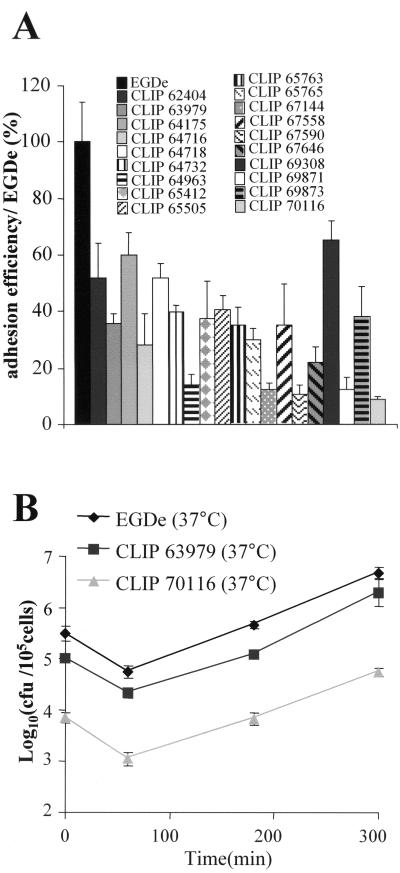 FIG. 7.