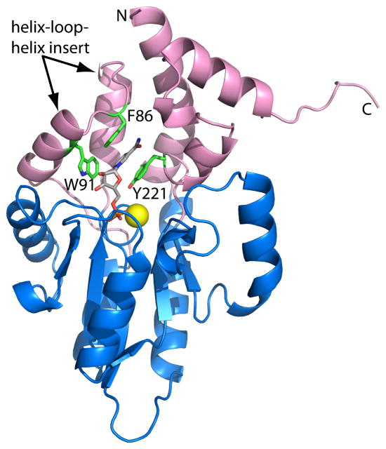 Fig. 1