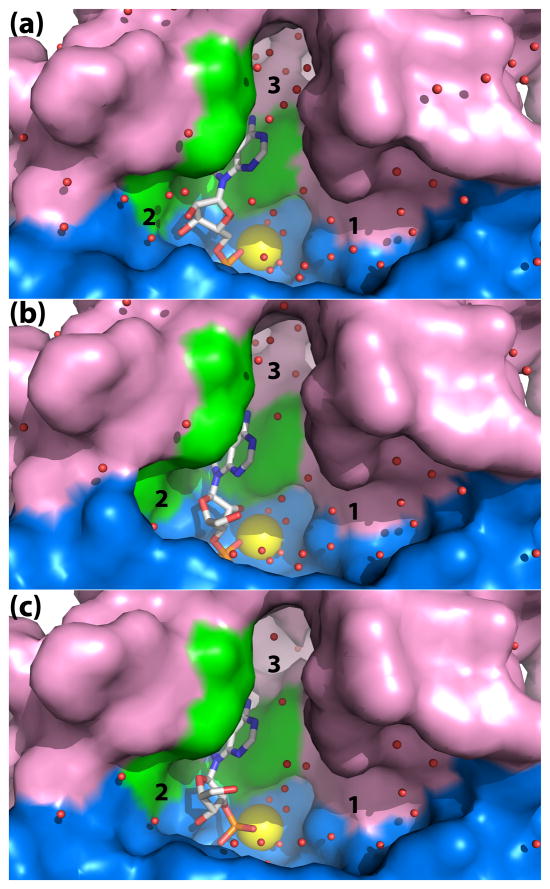 Fig. 3