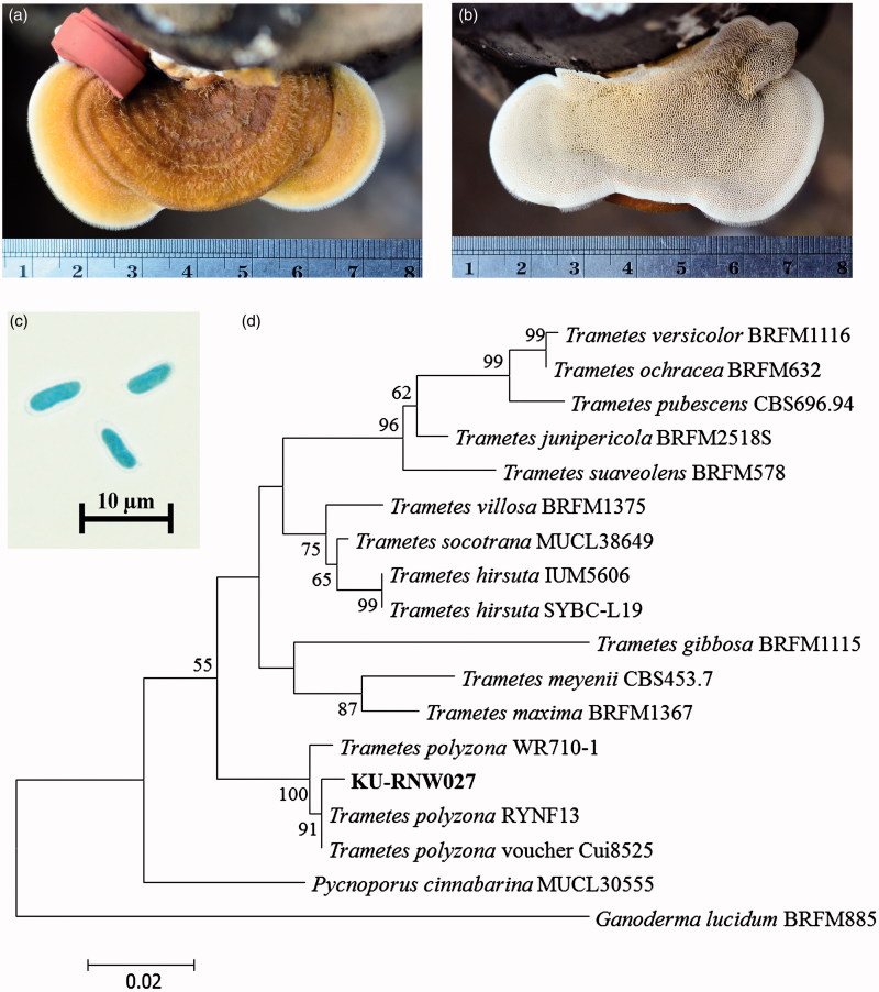 Figure 1.