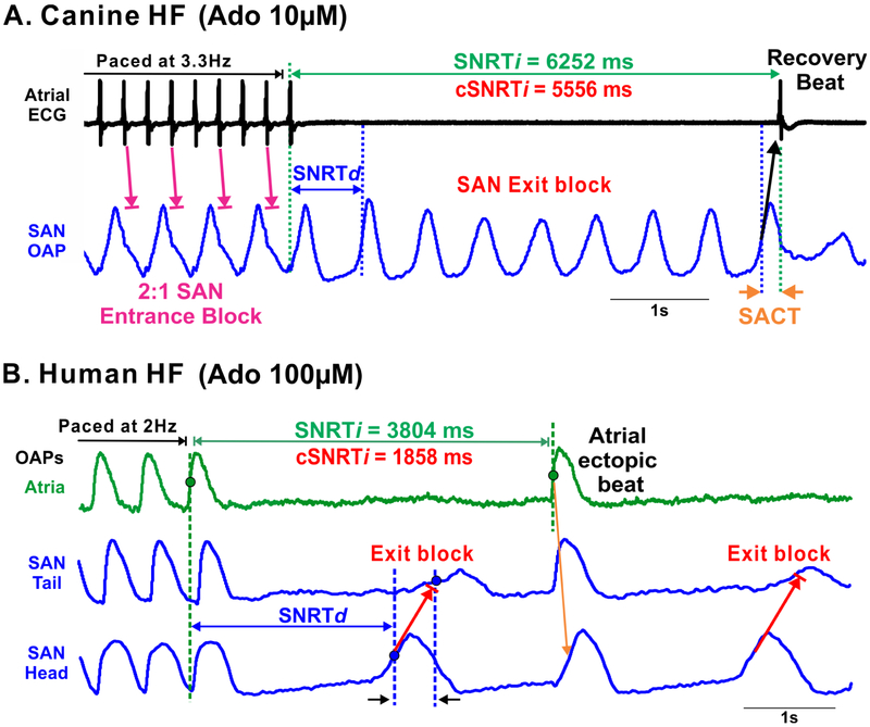 Figure 3: