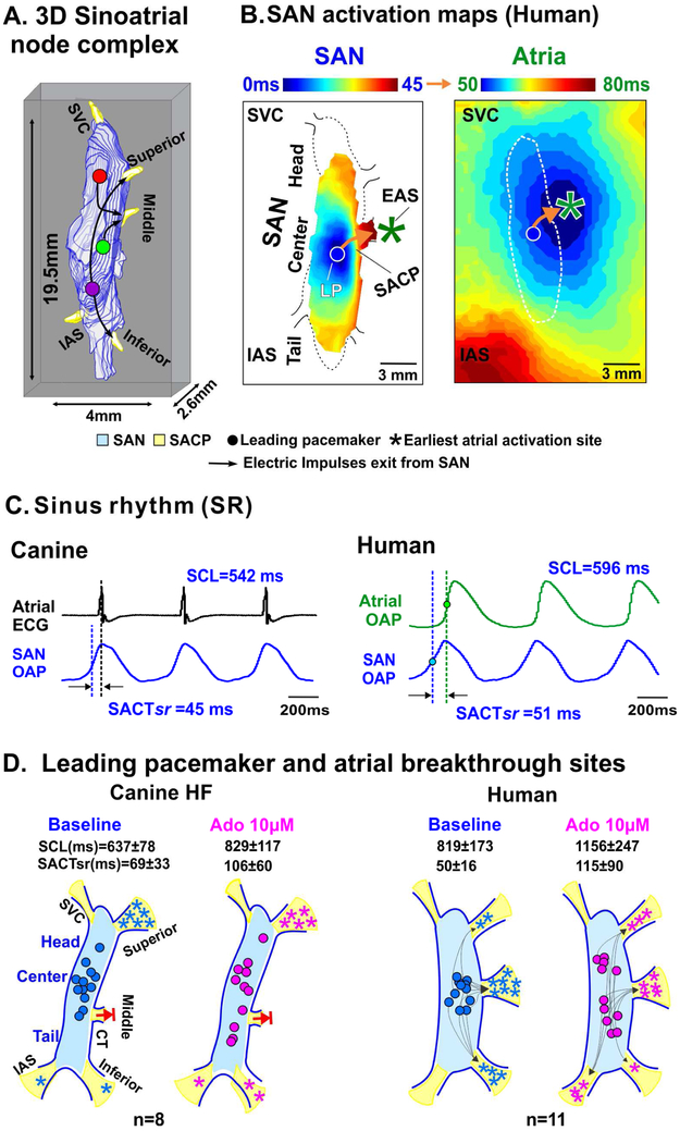 Figure 2: