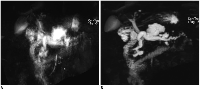 Fig. 16