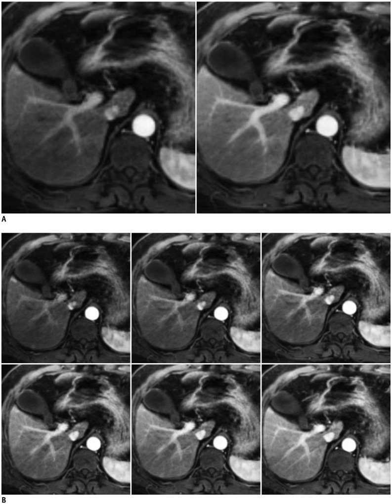 Fig. 8