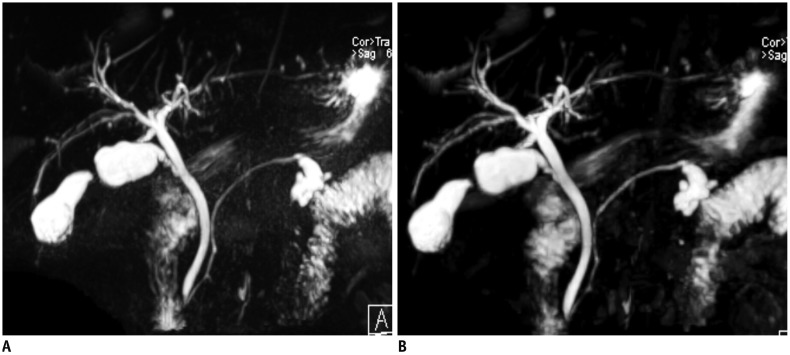 Fig. 15