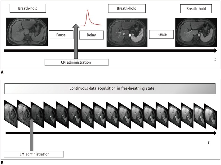 Fig. 12