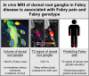 Graphical Abstract