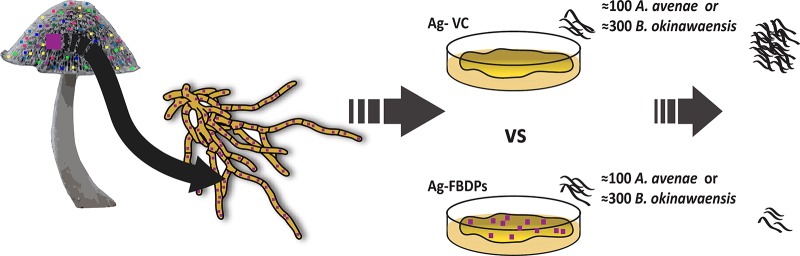 FIG 3