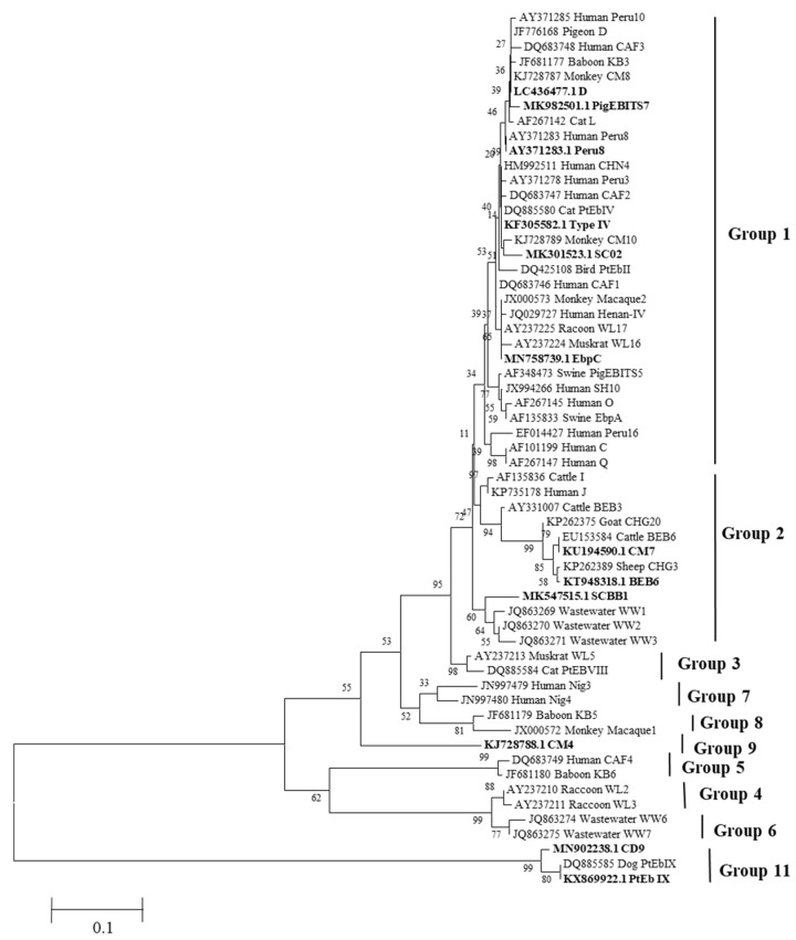 Figure 1