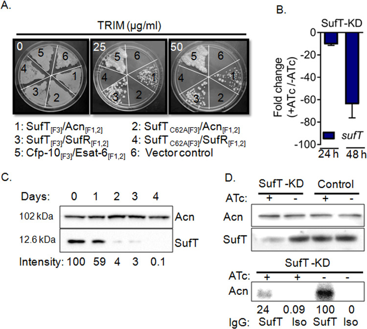 Fig 3