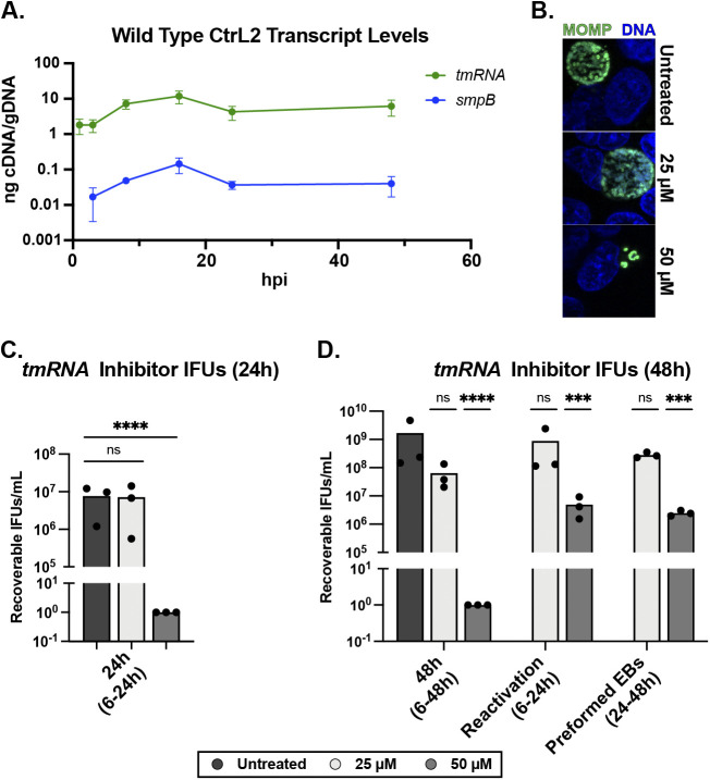 FIG 3