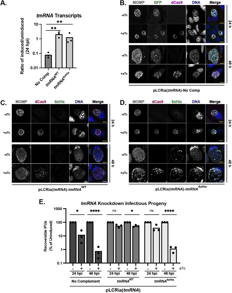 FIG 4