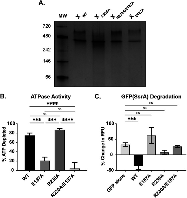 FIG 1