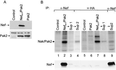 FIG. 5