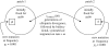 Figure 1.