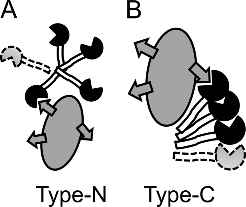 FIGURE 1.