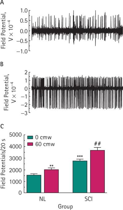 FIG. 1