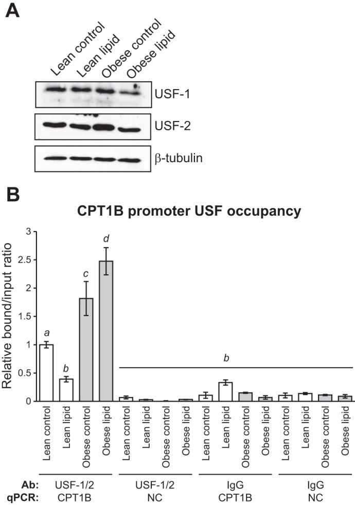 Fig. 10.