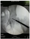 Fig. 7