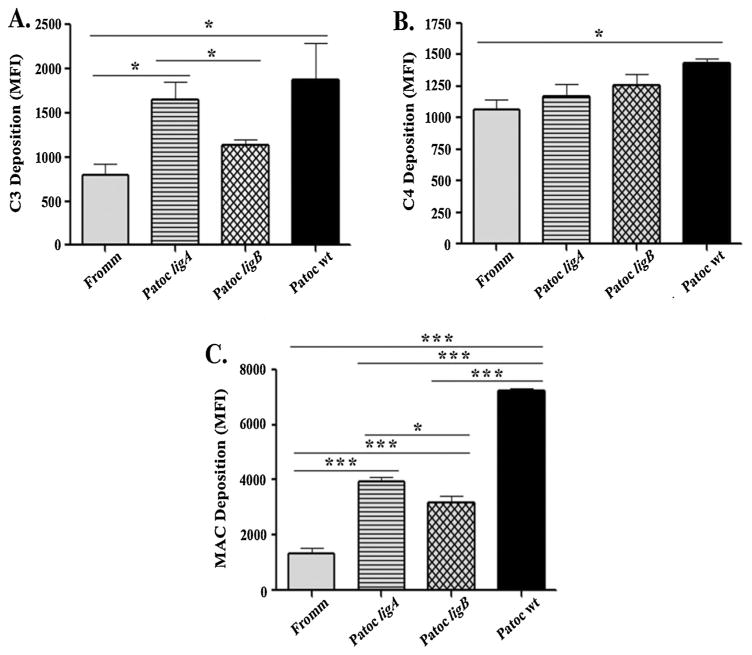 Fig. 4