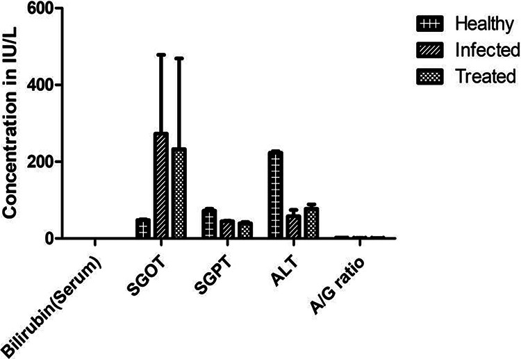 FIG 5