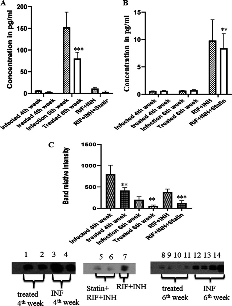 FIG 2