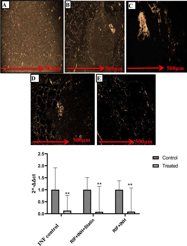 FIG 3