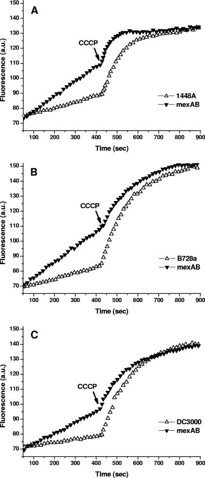 FIG. 1.