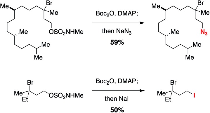 Scheme 1