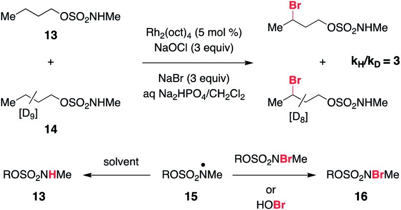 Scheme 4