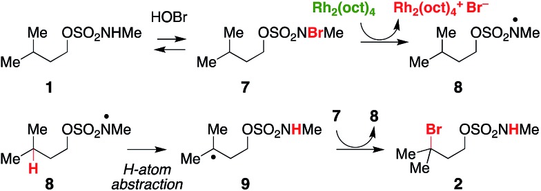 Scheme 3