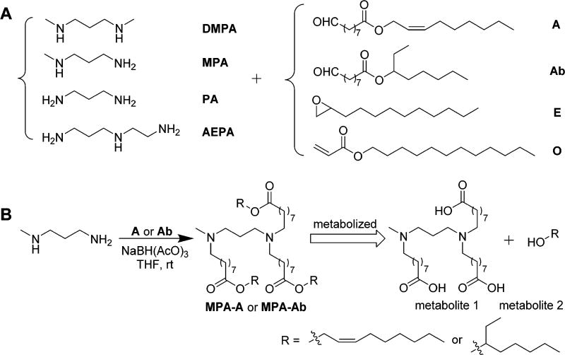 Scheme 1