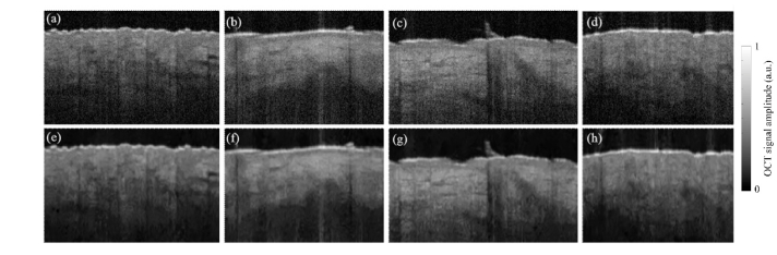 Fig. 5