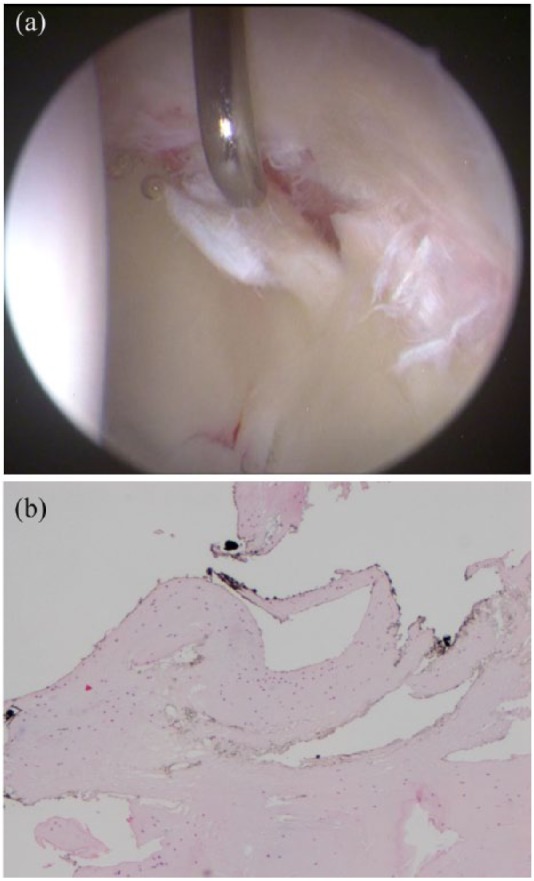 Figure 5.