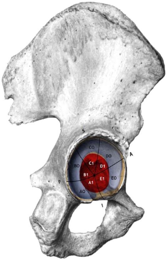 Figure 2.