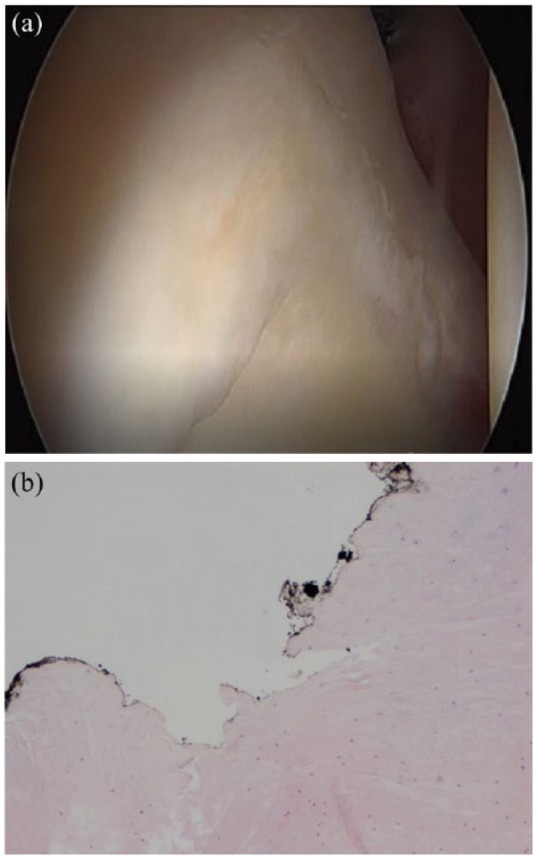 Figure 4.