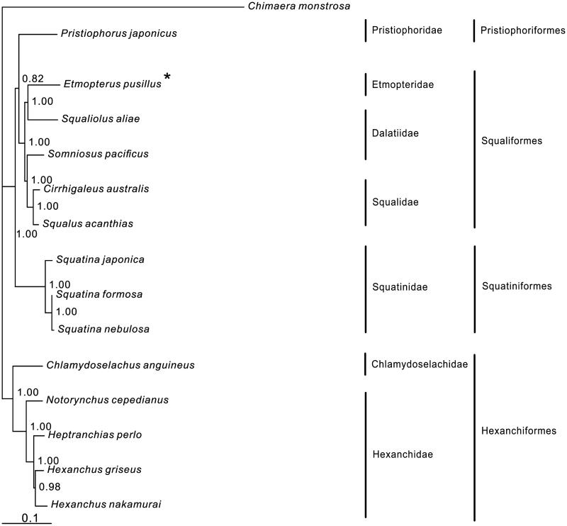 Figure 1.